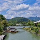 대구우리안약국 이미지