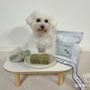 어 페일 블루닷 이미지