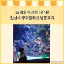 수달조형물 | 18개월 아기랑 다녀온 일산 아쿠아플라넷 방문 후기 (+수유실 정보)