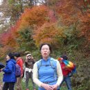 계족산황톳길 이미지