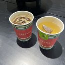 바스타레