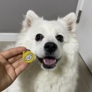 개명동물병원 이미지