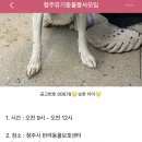 봉사길 | 청주시 반려동물 보호센터 봉사후기 | 신관 가는길 + 봉사 신청방법