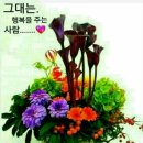 한주식품