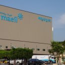 보인1리 이미지