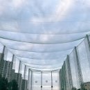 스타골프클럽 이미지