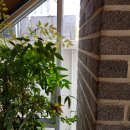 브라운도트호텔(서면점) 이미지