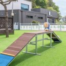 댕댕이애견 이미지