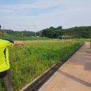 금산 와룡지구 1 이미지