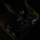 유포체험마을 이미지