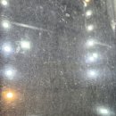 삼팔광택세차 이미지