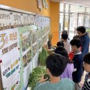 아름초등학교 이미지