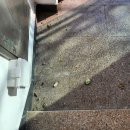 진례 | 김해공장입주청소 · 진례공장대청소 퍼펙트케어 작업후기