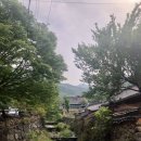 라원의티스토리 이미지