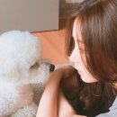교대복사 Daum카페