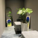 이지피트니스 상인점 | 운동 초보도 금방 적응! 이지피트니스 상인점 / 상인동헬스장 / 월성동헬스장