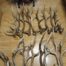 재용목장 이미지