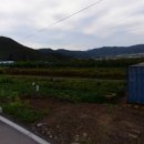 보성부동산공인중개사사무소 이미지