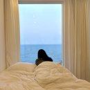 일출전자 | 동해 묵호 숙소 너에게감동해 오션뷰 일출 맛집 2nd 502호 내돈내산 솔직후기