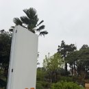 엠티렌터카 | 제주 단체 펜션 소락: 감성 가득한 온02호와 단체 여행 예약 가이드