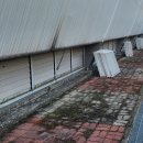 팔마테니스장 이미지