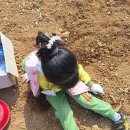 장천초병설 이미지