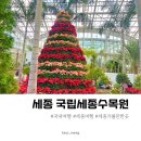 세종여행 국립세종수목원 입장료 운영시간 다녀 온 솔직한 후기