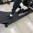제이에스프라자(JS프라자) | [동탄] 영천동헬스장 제이에스피트니스 18회차 동탄pt후기