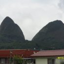 장수꺼먹돼지 이미지