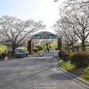 노미목장 네이버블로그