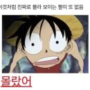 아름농장 | 경기도 청년 사다리 프로그램 3기 합숙면접 2주차 후기: 우리는이제하나야(아마도) Somos Hermanos
