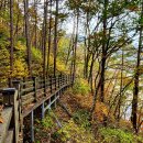 성주호 둘레길 독용산성길 코스 이미지