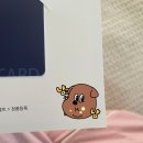 볼트짐 | 리드볼트 쿼디 캐리어 28인치 내돈내산 장단점 솔직후기