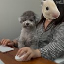 마이꼴밴드노래연습장 | [ 데이식스 포에버영 파이널 서울] 플로어 S3구역 590번대 막첫콘 후기 🦋