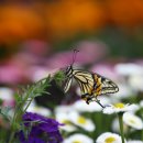 화양근린공원 이미지