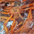 한마음직판장 이미지