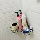 풍차 화장실 이미지