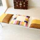 아그리나클래식 이미지