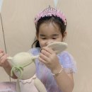 자연과 사람을 위한세탁 | 아기 애착인형 시기부터 세탁법까지 커들앤카인드 인형 후기