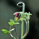 보평 - 1357 | 보평