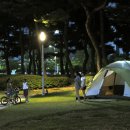 친구야(夜) 이미지