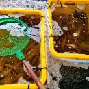 대명구이 이미지