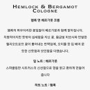 위즈앤