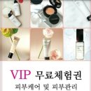 인셀덤세종5락실