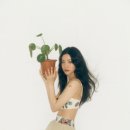 홍화연 - 전주시 완산구 풍남문2길 39 | 홍화연