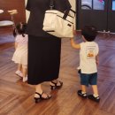 태광세탁 | 다자녀 육아맘 추천! 더베러백 후기｜기저귀가방부터 유모차가방, 여행가방까지 활용도 최고