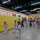 홍천체육관태권도장 이미지