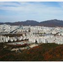 전*경