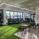 리햅포먼스 이미지