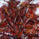 가루매마을 이미지